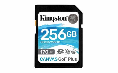 Kingston Technology Canvas Go! Plus 256 GB SD UHS-I Klasse 10